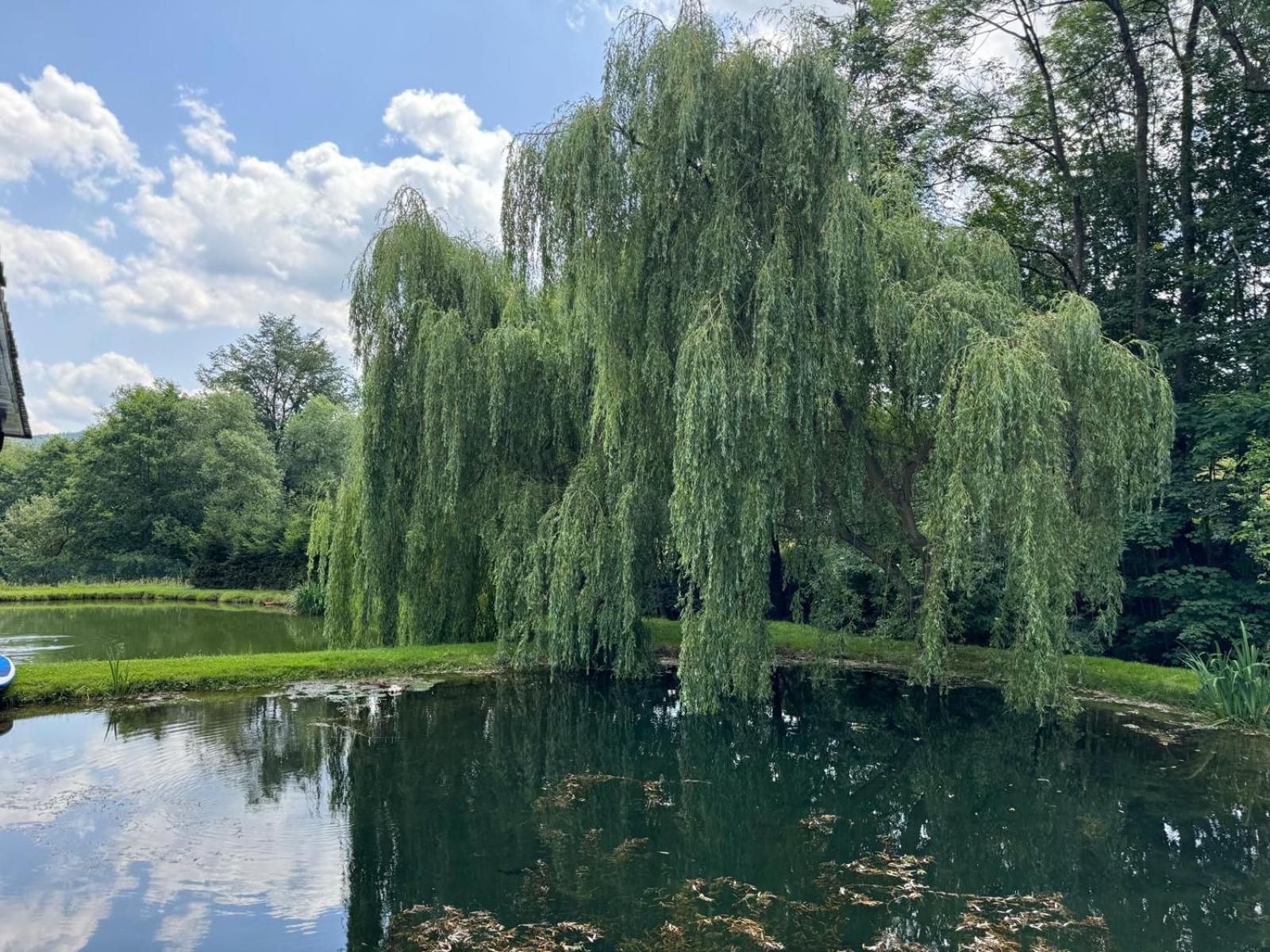 Restauracja i Noclegi Izba Rybacka w Krainie Wygasłych Wulkanów Podgorki Exterior foto